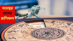 নভেম্বরেই এই রাশির ভবিষ্যতের দিশা নির্ধারণ, অর্থ-চিন্তায় অনেক ভুগেছেন; এবার ধনদেবীর কৃপালাভ