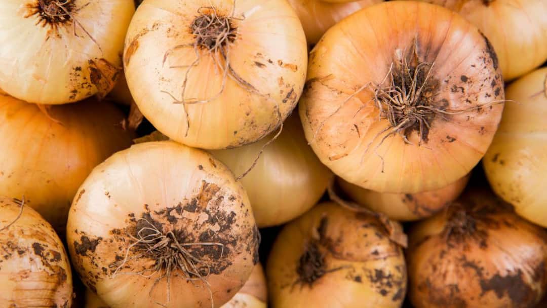 Black Spots On Onions: Expert Explains Why You Should Never Ignore This Common Kitchen Warning