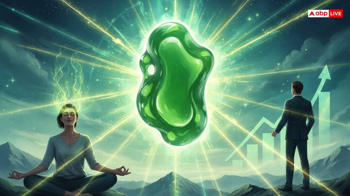 जेड रत्न पहनने से आत्मविश्वास बढ़ता है और करियर तथा व्यापार में अच्छी सफलता मिल सकती है. यह रत्न सही और गलत में फर्क करने की क्षमता को बढ़ता है, जिससे सही निर्णय लेने में मदद मिलती है.