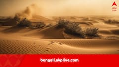 চরিত্র পাল্টাচ্ছে সাহারা মরুভূমি, চলতি শতকের শেষেই সিক্ত হয়ে উঠবে, ঘটতে পারে সবুজের বিস্ফোরণ