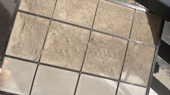 Gurugram Woman’s Air Purifier Filter Goes Viral, Shows Shocking Reality Of Pollution — WATCH