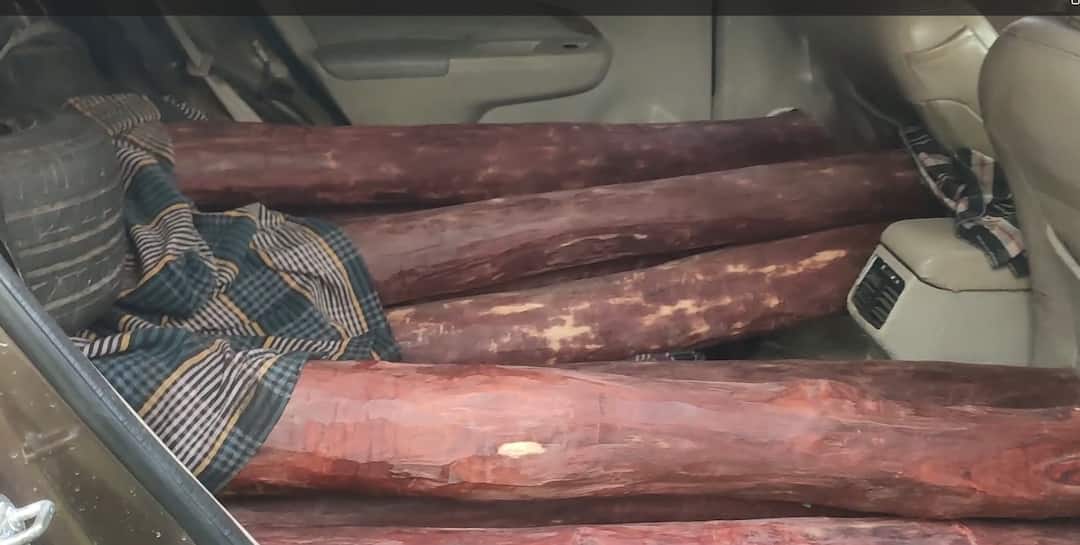 ஆந்திராவில் இருந்து வந்த கார்! மடக்கிப் பிடித்த போலீஸ்.. 250 கிலோ செம்மரம் பறிமுதல்