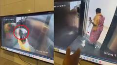 வளர்ப்பு நாயை தூக்கி அடித்துக் கொன்ற கொடூர பெண்: அதிர்ச்சி சிசிடிவி காட்சி - காரணம் என்ன?