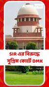 SIR এর বিরুদ্ধে এবার সুপ্রিম কোর্টে তামিলনাড়ুর শাসকদল DMK