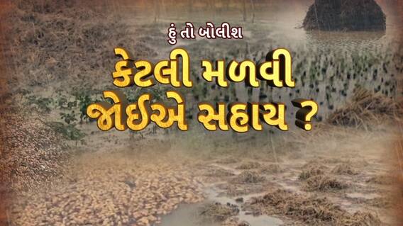 Hun To Bolish : હું તો બોલીશ : કેટલી મળવી જોઇએ સહાય?