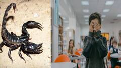 Himachal Pradesh: பேண்ட்டில் தேளை விட்ட கொடூரம்.. மாணவனை டார்ச்சர் செய்த ஆசிரியர்கள்!