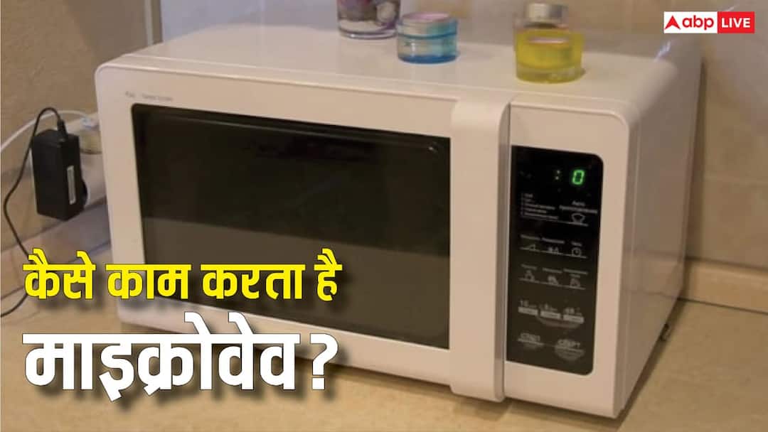 Without fire, without heater! This is how a microwave heats food, 90% people still don’t know its scientific secret