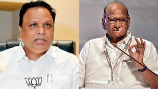 Sharad Pawar : राज्याचा मंत्री धार्मिक, जातीय तेढ वाढवणारे वक्तव्य करत असेल तर ते हिताचं नाही; शरद पवारांची आशिष शेलारांवर टीका