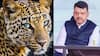 Pune Leopard Attack: सरकार पुण्यातील बिबट्यांची नसबंदी करणार? देवेंद्र फडणवीसांकडून स्थलांतराबाबतही महत्त्वाचं वक्तव्य