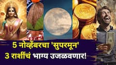 5 नोव्हेंबरचा 'सुपरमून' 3 राशींचं भाग्य उजळवणार! पौर्णिमेला नशीब फळफळणार, श्रीमंतीचे मोठे योग, पैसा, करिअर, प्रेम जीवन...