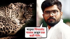 'आधीच अस्मानी संकटानं कंबरडं मोडलंय त्यात हे जंगली संकट...'; हेमंत ढोमेनं सांगितली शिरूर तालुक्याची व्यथा