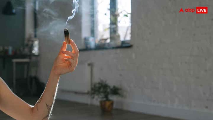 कई लोग घर की बदबू या बंद माहौल से बचने के लिए एयर फ्रेशनर लगाते हैं, लेकिन यह बड़ी गलती है. एयर फ्रेशनर में वोलेटाइल ऑर्गेनिक कंपाउंड्स (VOCs) होते हैं जो हवा को और ज्यादा प्रदूषित कर देते हैं. इसके जगह HEPA फिल्टर वाले एयर प्यूरिफायर का यूज करें. यह हवा से धूल, धुआं और जहरीले कणों को साफ करता है, जिससे आपको सांस लेने में आसानी होती है.