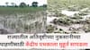 Crop Damage: राज्यातील अतिवृष्टीच्या नुकसानीच्या पाहणीसाठी केंद्रीय पथकाला मुहूर्त सापडला; पथकामध्ये कोणाचा समावेश, कुठे करणार पाहणी?