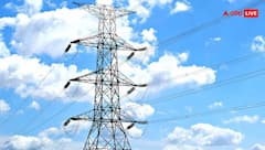 बिजली के बिल पर 60 से 100% तक सरचार्ज माफ कर रही यहां की सरकार, टाइम निकलने से पहले उठाएं लाभ