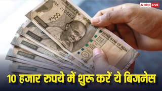 10 हजार में शुरू करें ये बिजनेस, महीने की होगी 40 हजार कमाई