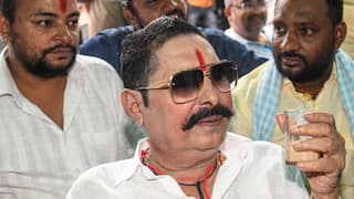 Anant Singh To Raju Kumar Singh: Bahubali Brigade Back In Bihar To Contest Assembly Polls