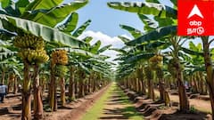 நன்னிலம் மகளிர் நில உரிமைத் திட்டம்: சாந்தியின் கனவு நனவானது.. ரூ.5 லட்சம் மானியத்தில் சொந்த நிலம்!