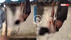 Video: मोबाइल चोरी का आरोप, नाबालिग को पेड़ से उल्टा लटकाया, तालिबानी सजा का वीडियो वायरल
