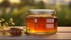 ખાલી પેટ મધનું સેવન કરવાથી શરીરમાં થાય છે આ 5 ફાયદાઓ,  જાણી લો તેના વિશે