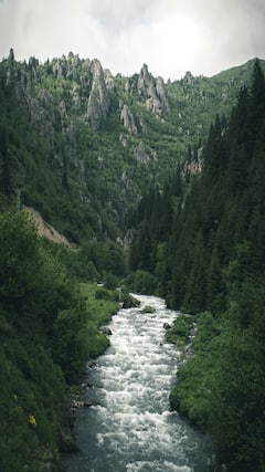 जगातल्या सर्वात स्वच्छ 7 नद्या, पाहा यादी!
