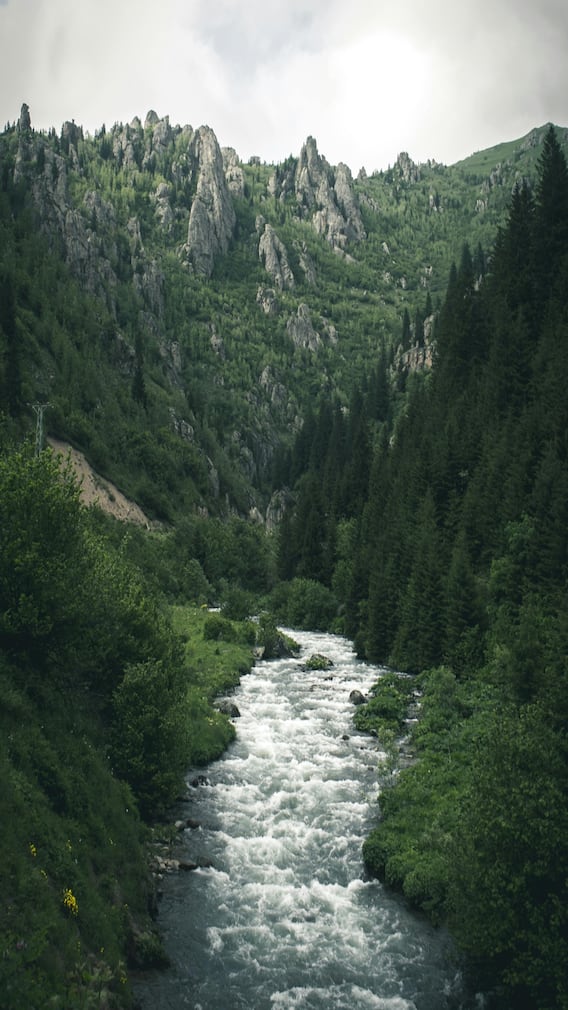 ప్రపంచంలోనే అత్యంత శుభ్రమైన నదులు ఇవే