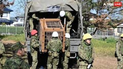 जापान में भालुओं का आतंक! 6 महीने में 100 से ज्यादा बार हमले; सरकार ने तैनात कर दी आर्मी