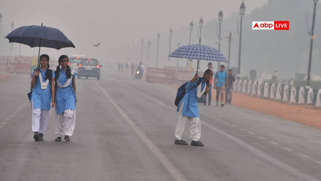 Delhi Govt Caps Office Attendance At 50% As Pollution Rises; Others To WFH