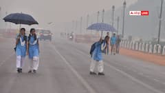 Delhi Govt Caps Office Attendance At 50% As Pollution Rises; Others To WFH