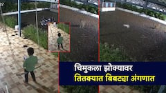 Video: बिबट्या आला रे... झोक्यावर खेळत बसलेला चिमुकला थोडक्यात बचावला; मांजरीमागे आलेल्या बिबट्याचा थरार