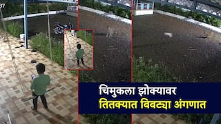 Video: बिबट्या आला रे... झोक्यावर खेळत बसलेला चिमुकला थोडक्यात बचावला; मांजरीमागे आलेल्या बिबट्याचा थरार