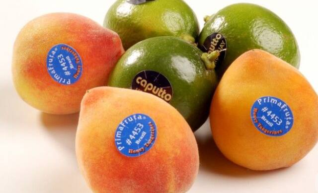 (टीप: वरील सर्व माहिती केवळ माहितीपुरती असून, एबीपी माझा यामध्ये कोणताही दावा करत नाही).