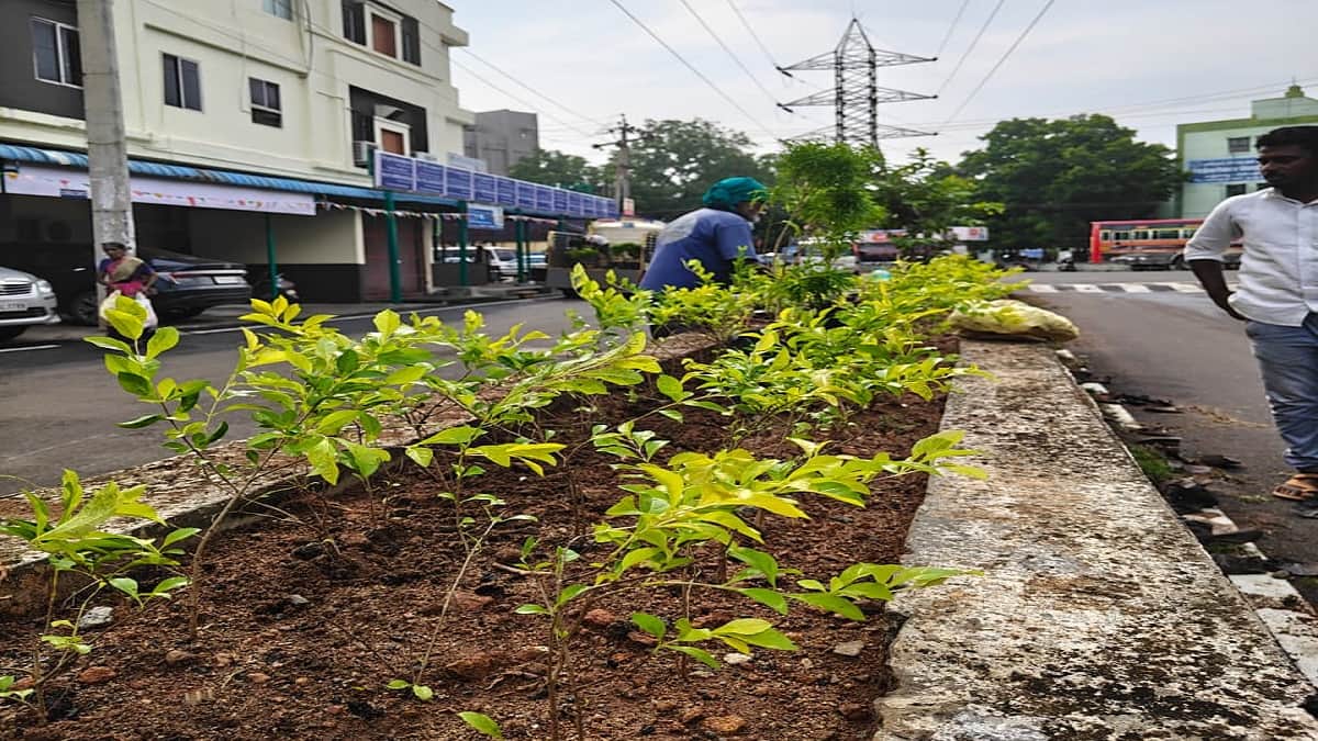 கலாச்சார தலைநகர் தஞ்சாவூரை மேலும் அழகாக்கும் பணிகள்: மேயர் சண்.ராமநாதன் மற்றும் நிர்வாகத்திற்கு குவியும் பாராட்டுக்கள்