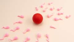 इस देश में स्पर्म डोनेट करके हर महीने 400 पाउंड कमा रहे स्टूडेंट्स, क्या भारत में भी कर सकते हैं ऐसा?