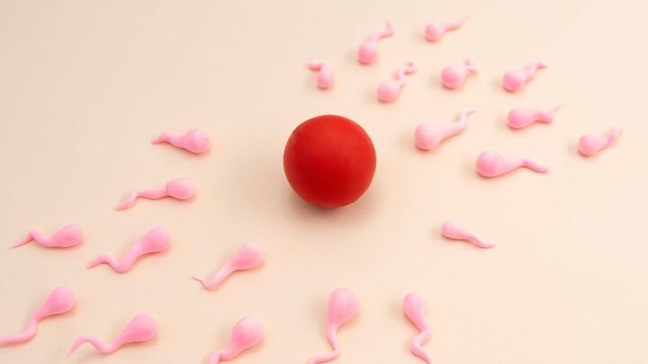 विश्व के कुछ देशों में छात्र अपनी आर्थिक जरूरतों को पूरा करने के लिए एक अनोखा तरीका अपना रहे हैं, स्पर्म डोनेशन. चीन और इजराइल जैसे देशों में यह खासकर लोकप्रिय हो गया है. इन देशों के स्पर्म बैंकों ने छात्रों को आकर्षित करने के लिए नकद पुरस्कार और सब्सिडी की पेशकश भी शुरू कर दी है.