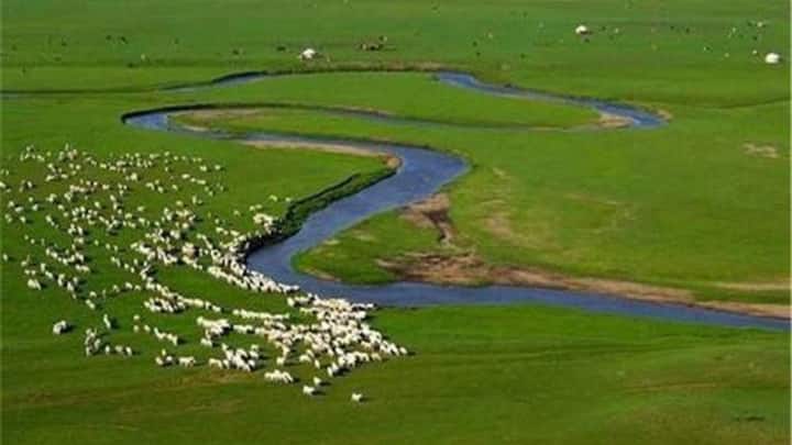 यह अनोखी नदी उत्तरी चीन में बहती है और लगभग 17 किलोमीटर लंबी है. रिपोर्ट्स के अनुसार, यह नदी करीब 10,000 साल पुरानी है और आज भी अपनी प्राकृतिक धारा के साथ बह रही है.