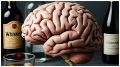 మద్యం మనిషి మెదడుపై ఎలాంటి ప్రభావం చూపుతుంది? న్యూరోసైంటిస్టులు ఏం చెబుతున్నారు?