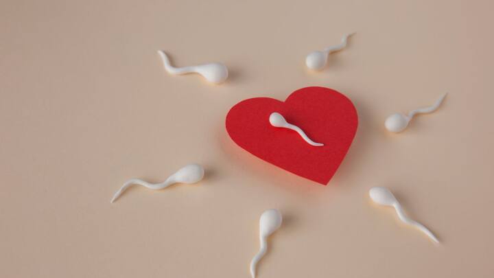 भारत में यह प्रक्रिया पूरी तरह कानूनी है, लेकिन डोनर के लिए कुछ स्वास्थ्य और उम्र संबंधी शर्तें निर्धारित हैं. इसके अलावा, भारत में बड़े पैमाने पर प्रचार या सब्सिडी जैसी सुविधा नहीं है, इसलिए यह तरीका वहां अपेक्षाकृत कम आम है.