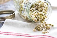 Benefits of Matki Sprouts : मटकी खाण्याचे 'हे' आहेत आरोग्यदायी फायदे