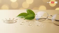 The Nutrition - Vision Link: Foods That Support Healthy Eyes