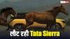 लौट रही Tata की आइकॉनिक एसयूवी Sierra, जानिए पहले से कितनी बदल जाएगी कीमत?