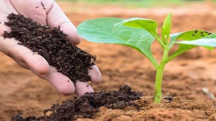 अगर आपके पास कोई नया बिजनेस आइडिया है जैसे ऑर्गेनिक खेती, ऑनलाइन प्रोडक्ट सेलिंग या फार्म टेक्नोलॉजी, तो स्टार्टअप इंडिया योजना आपके लिए फायदेमंद है. इस योजना के तहत सरकार टैक्स में राहत, ट्रेनिंग और निवेश के अवसर देती है. ग्रामीण इलाकों के युवाओं के लिए यह योजना इनोवेशन के रास्ते खोलती है.