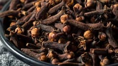 Hair Care: વાળમાં કુદરતી ચમક જોઈતી હોય તો અપનાવો આ ટોનિક