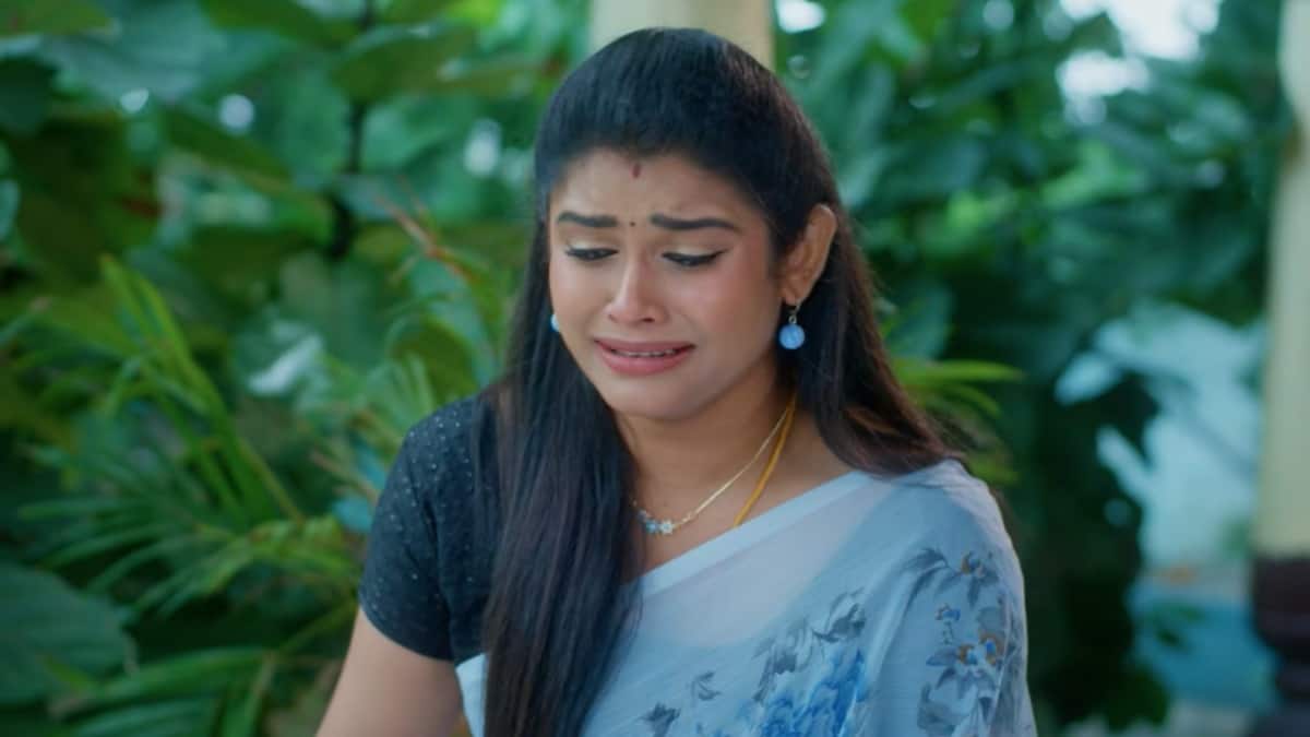 Chinni Serial Today November 5th: చిన్ని సీరియల్: దేవాని పూర్తిగా నమ్మేసిన మధు! దేవాకి తానే చిన్ని అని చెప్పేస్తుందా! 10 నిమిషాలు ఏం మాట్లాడుతుంది?