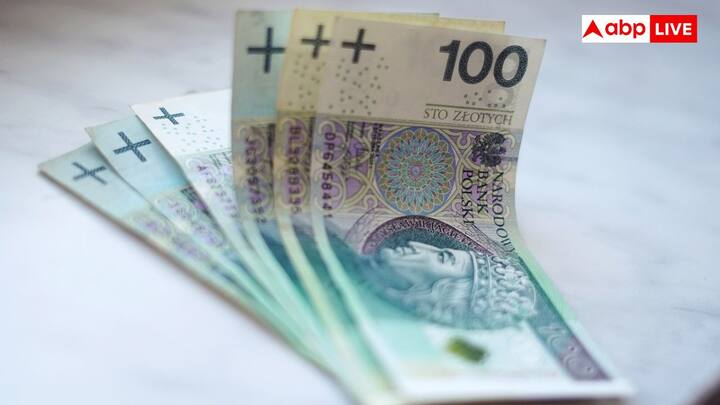 वैश्विक बाजार में इस मुद्रा के मूल्य को कई आर्थिक कारक प्रभावित करते हैं. इसमें प्रमुख तत्वों में पोलैंड का आर्थिक प्रदर्शन शामिल है. इसमें जीडीपी वृद्धि, इन्फ्लेशन रेट और बेरोजगारी के स्तर जैसे मानक शामिल है. इन सबके अलावा यूरोपीय संघ में पोलैंड के एकीकरण और यूरोजोन के साथ अच्छे आर्थिक संबंधों का मतलब है कि यूरोपीय संघ के अंदर आर्थिक उतार-चढ़ाव भी ज्लॉटी की विनिमय दर को प्रभावित कर सकता है.