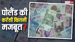 Poland Currency: पोलैंड में इतने हो जाते हैं भारत के 10000 रुपये, जानें यहां की करेंसी कितनी मजबूत?