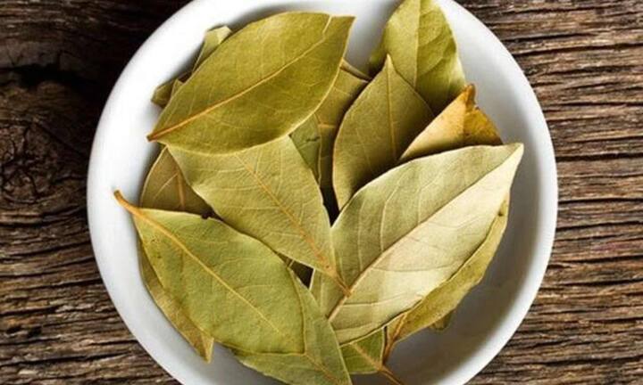 तेज पत्ते की गंध कॉकरोच को बिल्कुल पसंद नहीं होती है. ऐसे में आप कुछ तेज पत्तों को पानी में भिगोकर उस जगह पर छिड़क दे, जहां कॉकरोच दिखाई देते हैं. यह आसान सा माने जाने वाला उपाय बहुत असरदार होता है जो घर में फ्रेशनेस भी बनाए रखता है.