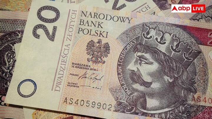 पोलिश मुद्रा ज्लॉटी को 100 छोटी इकाइयों में बांटा गया है. इन इकाइयों को ग्रोजी कहा जाता है. ज्लॉटी नोट 10, 20, 50, 100, 200 और 500 में उपलब्ध हैं. इसी के साथ ग्रोजी सिक्के एक, दो और पांच ज्लॉटी में उपलब्ध हैं.