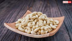 खेत में उगाए ‘सफेद सोना’ काजू की खेती से होगी तगड़ी कमाई, जानें पूरा तरीका देखभाल