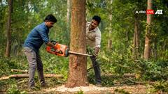 एमपी: महू-खंडवा रेल प्रोजेक्ट के लिए काटे जाएंगे 1.24 लाख पेड़! घने जंगलों से गुजरेगा नया ट्रैक