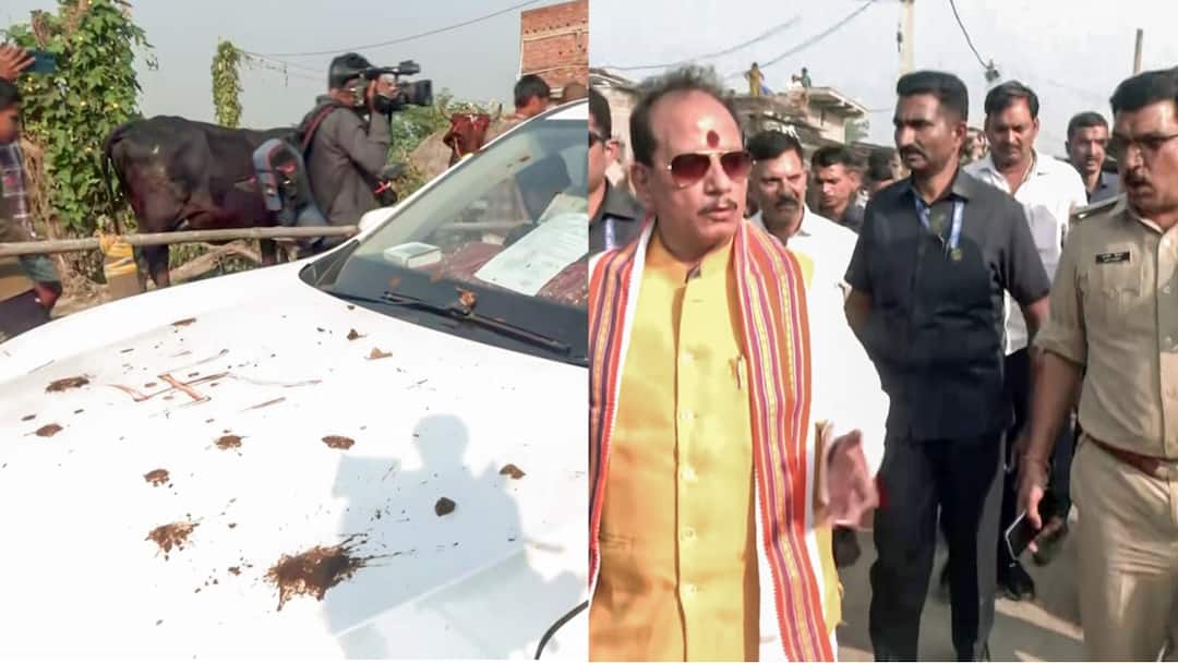 ‘RJD, Congress Leaders Came Drunk To Capture Booths’: Villagers In Lakhisarai Allege Violence, Threats